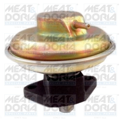 EGR Valve